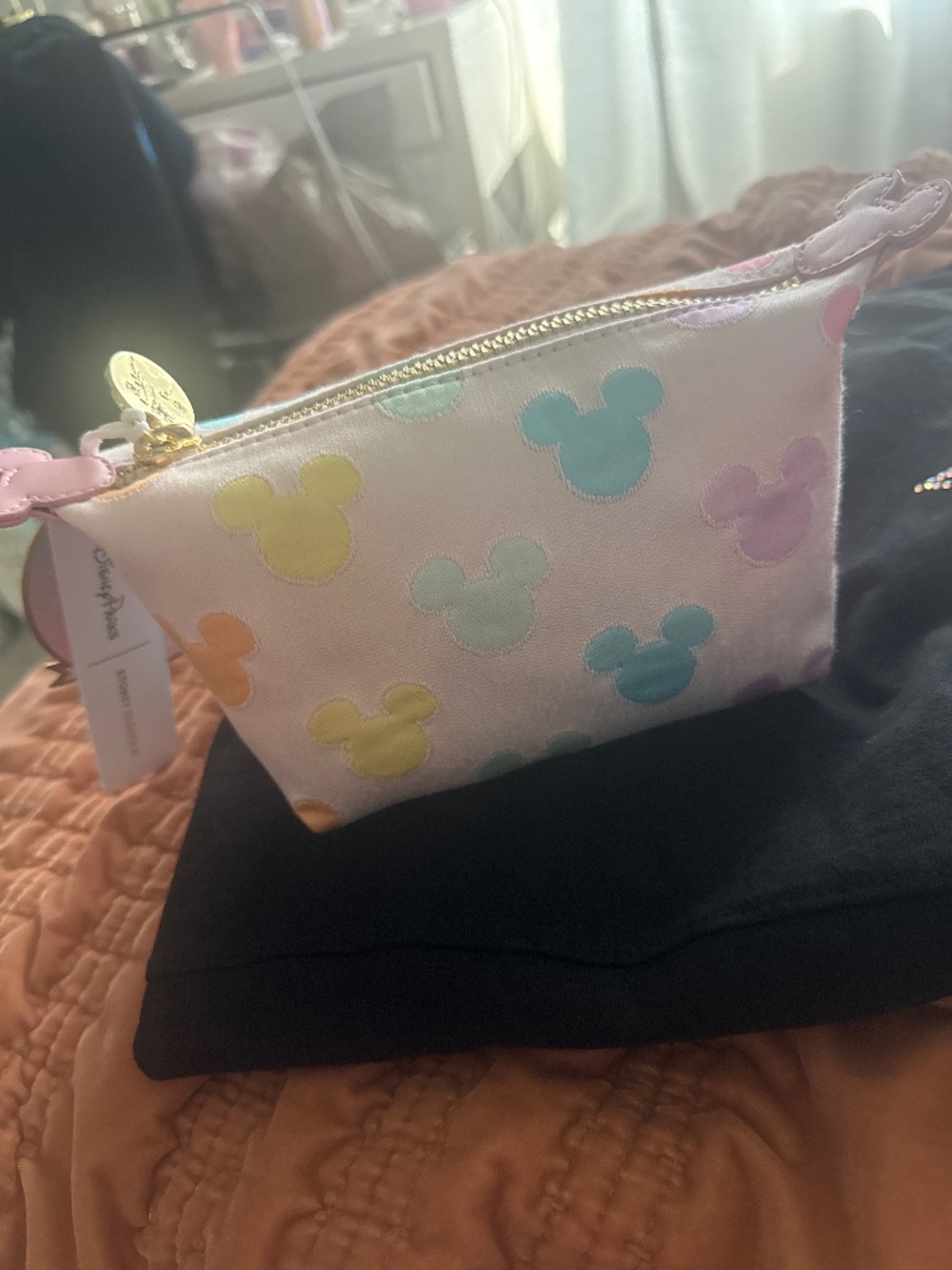Stoney clover Mickey Mouse icon pouch